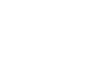 Sales & Profit logo